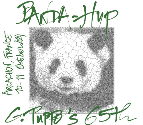 PANDA-Hyp  in honor of Gabriella Puppo's 65th birthday