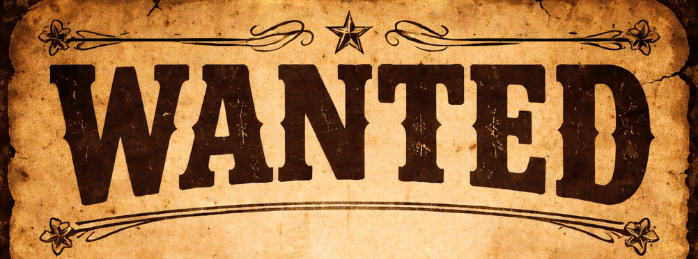 WANTED "Workshop on Advanced Numerical Techniques & Discretization" à Bordeaux