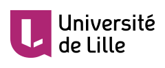 Number Theory Days in Lille