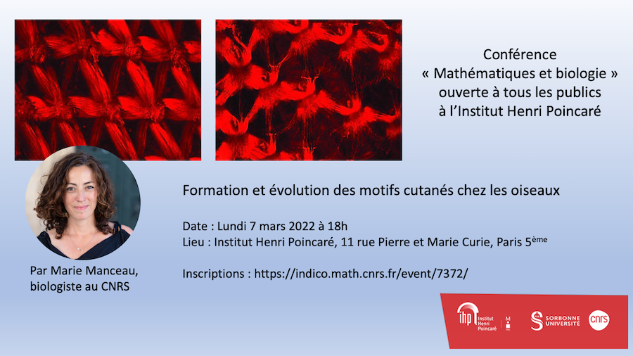 Conférence mathématiques et biologie ouverte à tous les publics à l'Institut Henri Poincaré