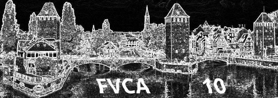 Finite Volumes for Complex Applications 10 (FVCA10)
